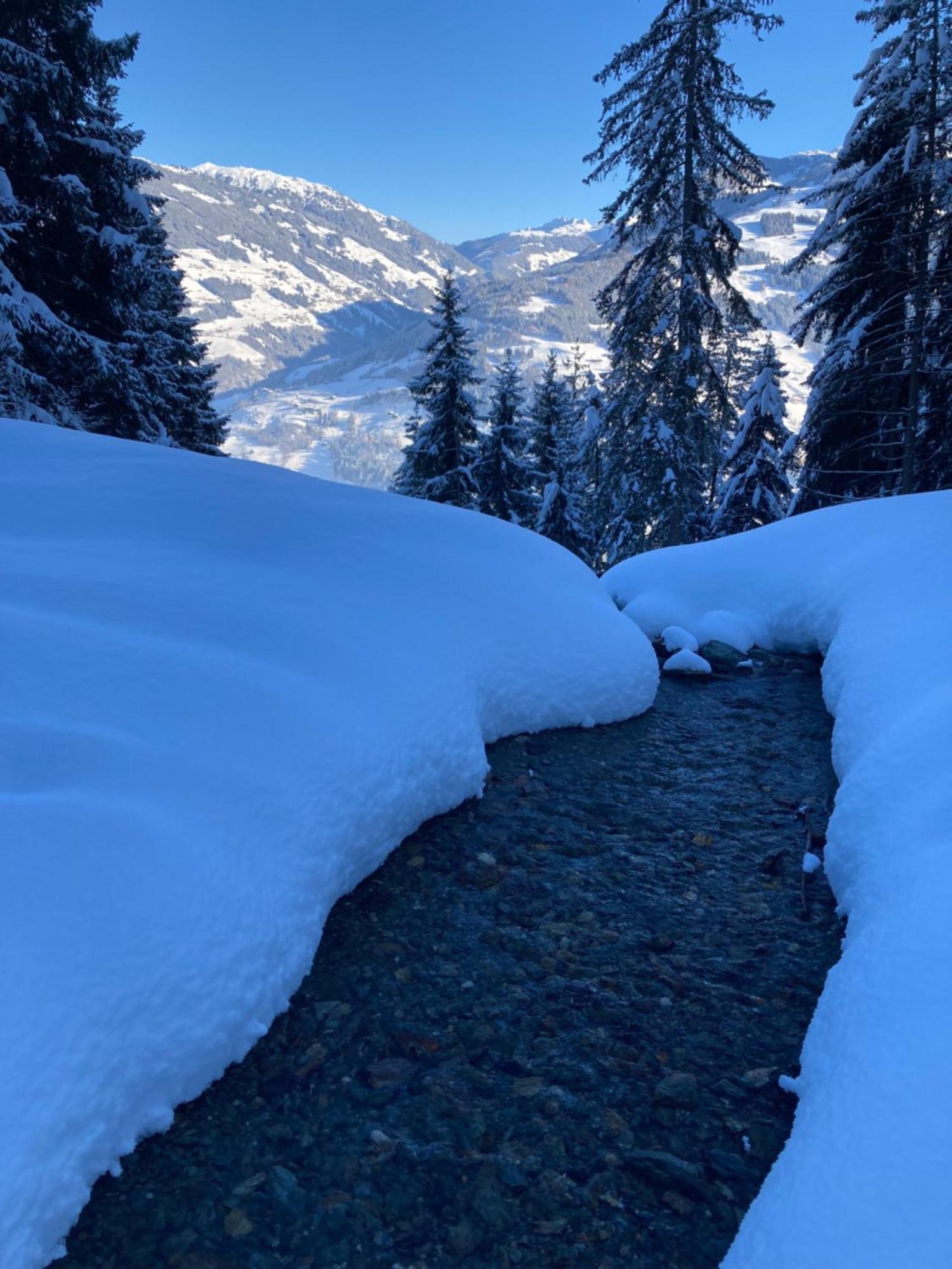 Goass'n Alm Zillertal Villa Hippach Exteriör bild