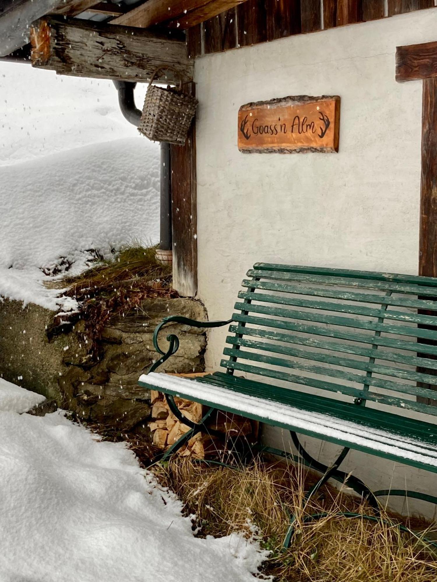 Goass'n Alm Zillertal Villa Hippach Exteriör bild
