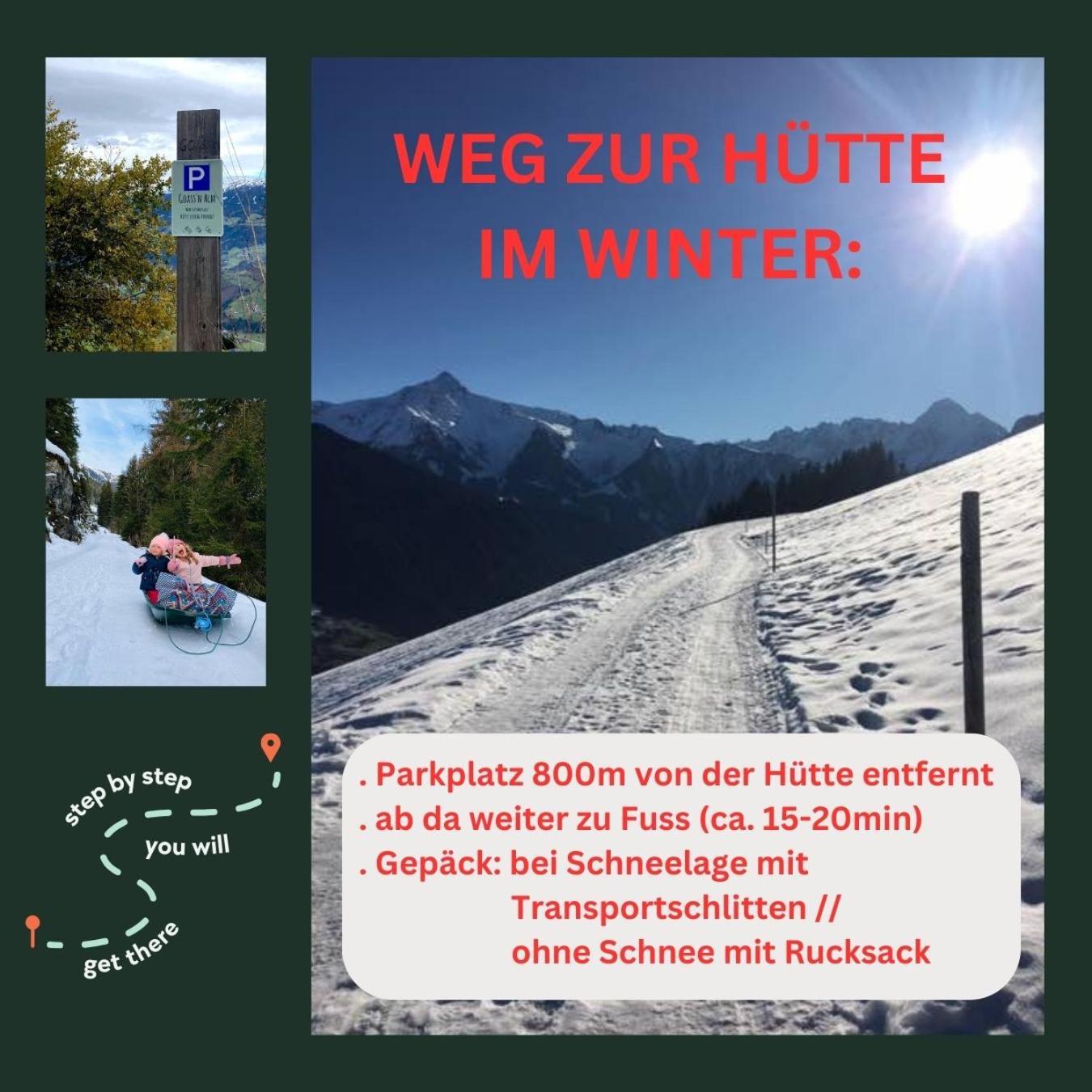 Goass'n Alm Zillertal Villa Hippach Exteriör bild